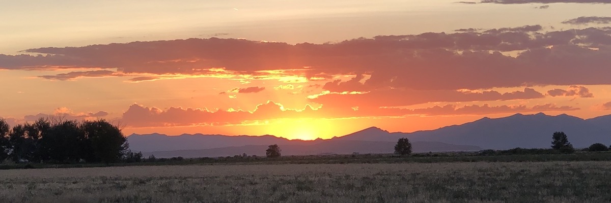 Sunset Over Farm with Trees