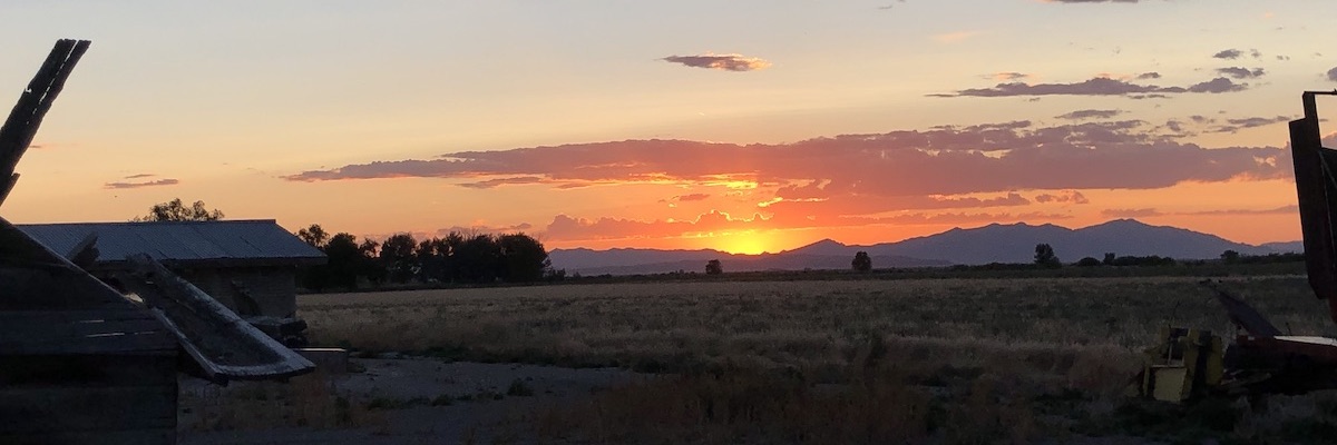 Farm with sunset